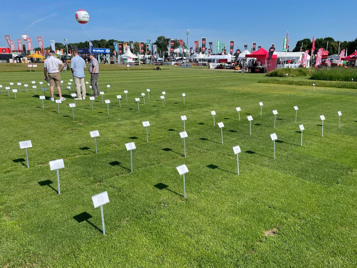 Präsentation unterschiedlicher Rasensorten auf der demopark. Beschilderte Versuchsflächen ermöglichen den direkten Vergleich von Eigenschaften und Pflegeanforderungen.