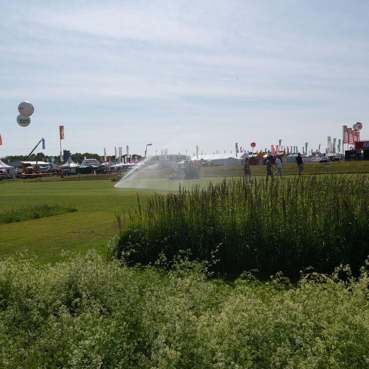 Vorführfläche für Bewässerungs- und Grünflächentechnik auf der demopark mit Beregnungsanlage, Schilfbepflanzung und Ausstellungsständen im Hintergrund.