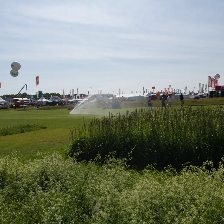 Vorführfläche für Bewässerungs- und Grünflächentechnik auf der demopark mit Beregnungsanlage, Schilfbepflanzung und Ausstellungsständen im Hintergrund.
